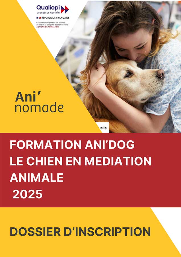 formation ani'dog