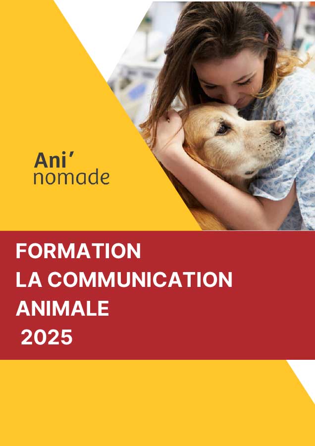 formation communication animale