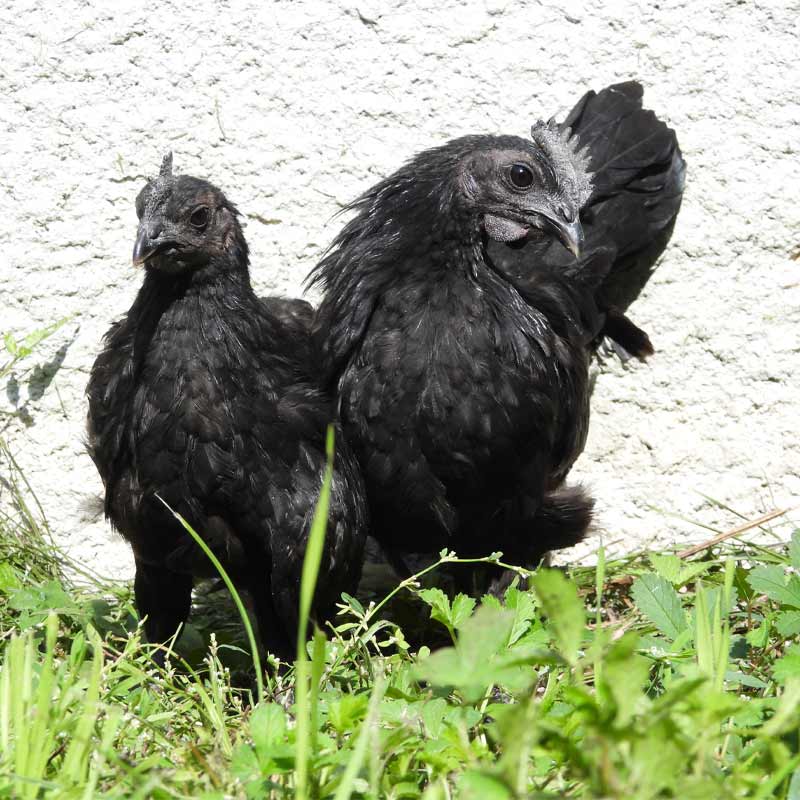 infos-pratiques infos pratiques