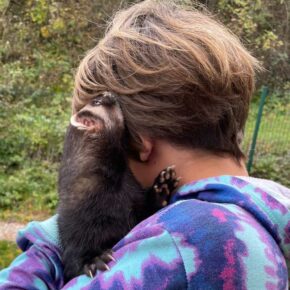 furet auprès des ados