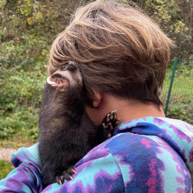 furet auprès des ados