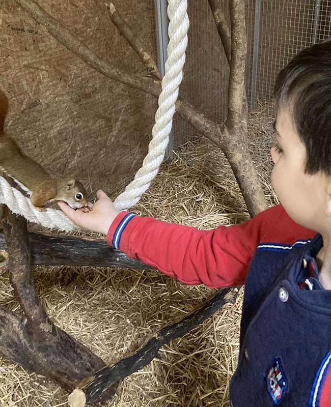 frustration-et-ecureuil- frustration et écureuil