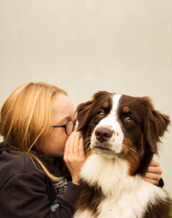 Zoothérapie dans les tribunaux