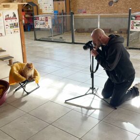 importance-du-marketing-en-zootherapie importance du marketing en zootherapie