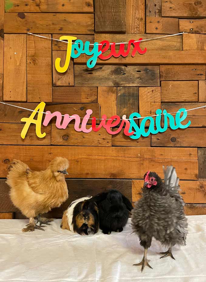 Anniversaires Ani'nomade