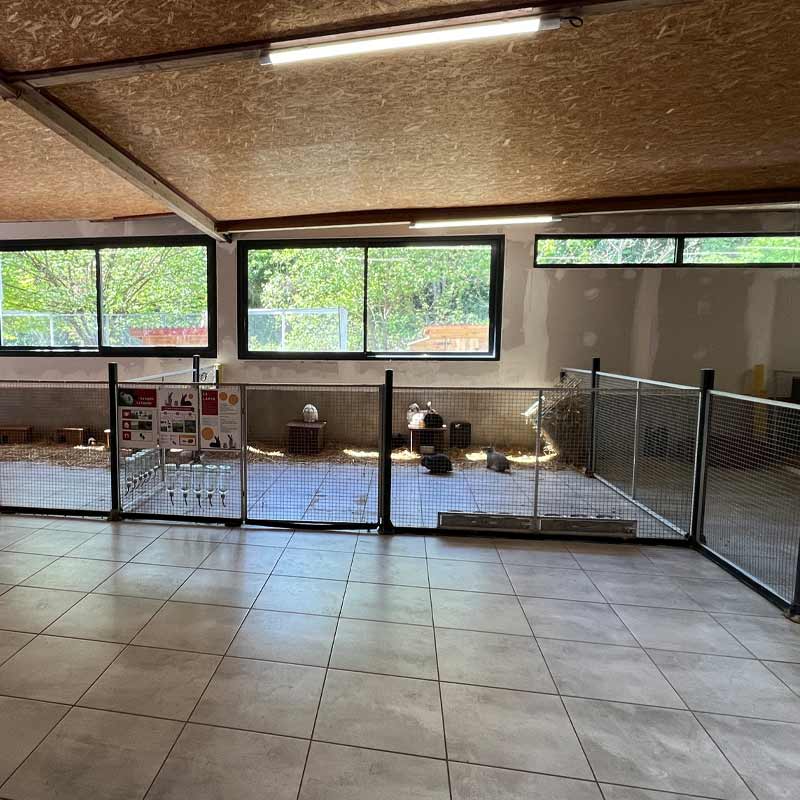 Travaux à la Cabane