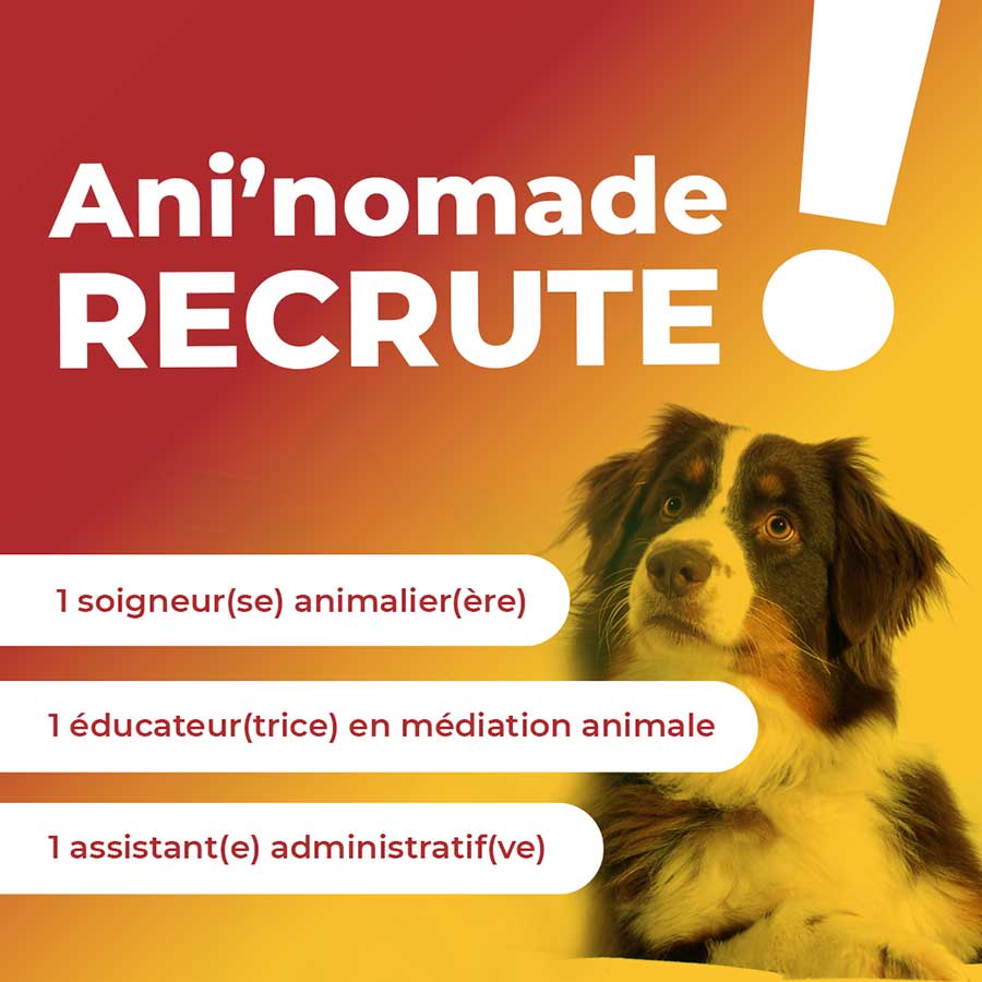 Recrutement en médiation animale